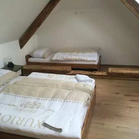 U Kaplicky Apartament *